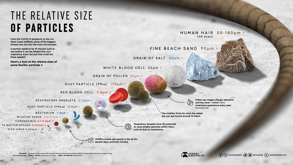 infographic showng relative size of various particles