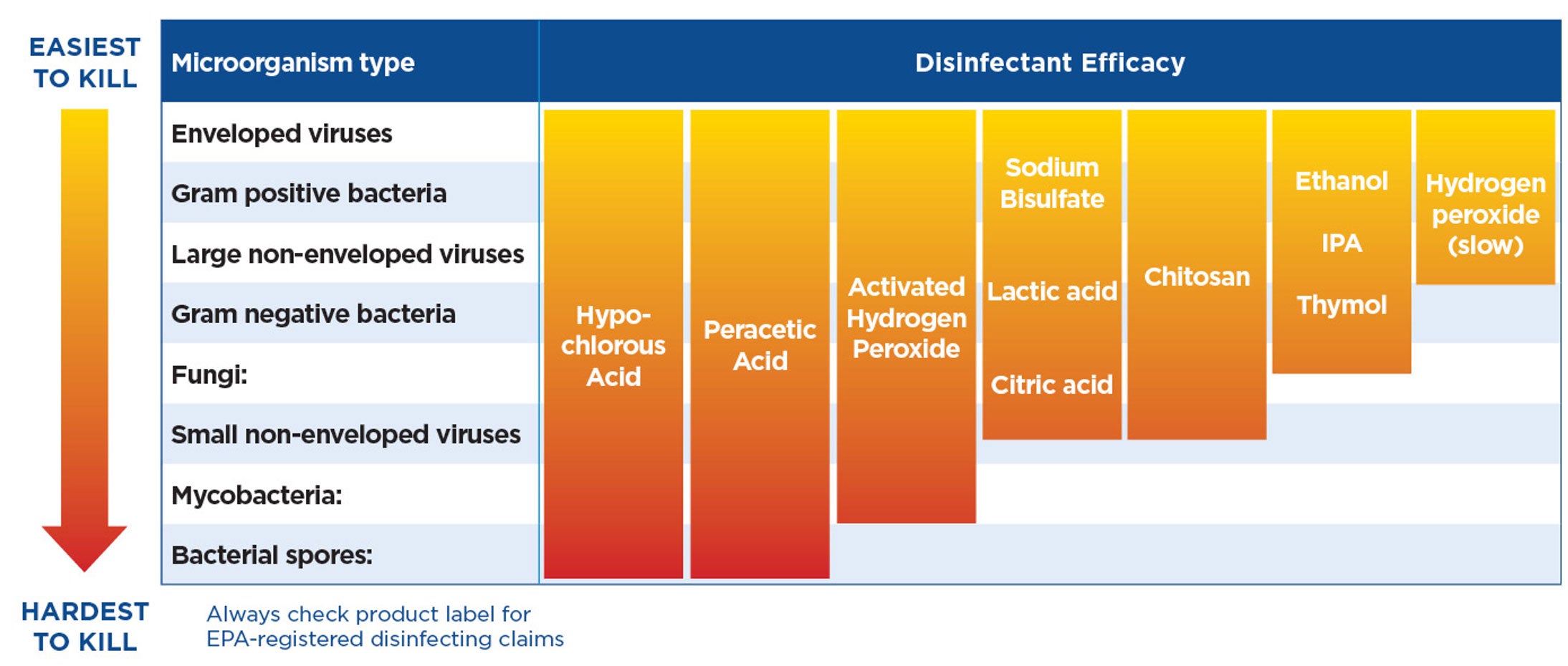 microorganism types and disinfectant efficacy